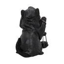 NEMESIS NOW REAPERS FELINE LANTERN 18,5CM 801269149116
