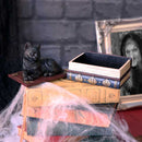 NEMESIS NOW SALEMS SPELLS 11,7CM 801269141943