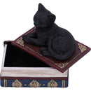 NEMESIS NOW SALEMS SPELLS 11,7CM 801269141943