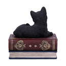 NEMESIS NOW SALEMS SPELLS 11,7CM 801269141943