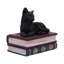 NEMESIS NOW SALEMS SPELLS 11,7CM 801269141943