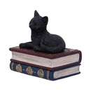NEMESIS NOW SALEMS SPELLS 11,7CM 801269141943