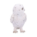 NEMESIS NOW SNOWY WATCH SMALL 13.3CM 801269134655