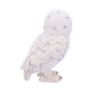 NEMESIS NOW SNOWY WATCH SMALL 13.3CM 801269134655