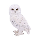 NEMESIS NOW SNOWY WATCH SMALL 13.3CM 801269134655