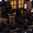 NEMESIS NOW THE WITCHES LITTER 24.8CM (DISPLAY OF 36) 801269140045
