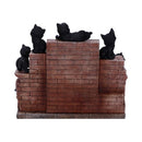 NEMESIS NOW THE WITCHES LITTER ASSORTED 8012699990021