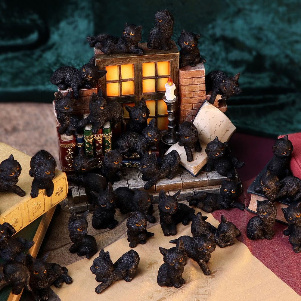 NEMESIS NOW THE WITCHES LITTER ASSORTED 8012699990021
