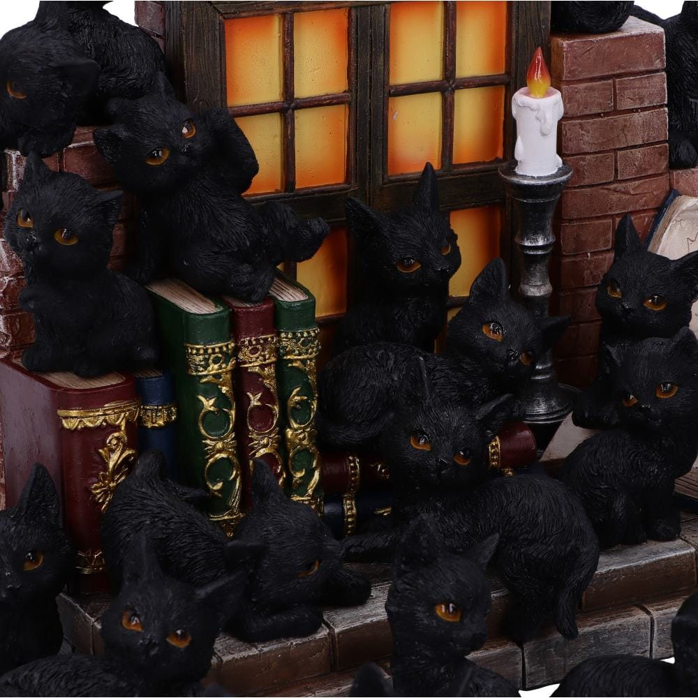 NEMESIS NOW THE WITCHES LITTER ASSORTED 8012699990021