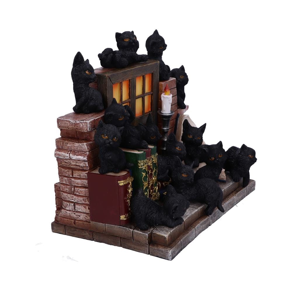 NEMESIS NOW THE WITCHES LITTER ASSORTED 8012699990021