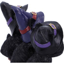 NEMESIS NOW THREE WISE BLACK CATS 11,5CM 801269142391
