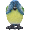 NEMESIS NOW THREE WISE BLUE TITS 8CM 801269156251
