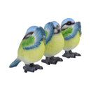 NEMESIS NOW THREE WISE BLUE TITS 8CM 801269156251