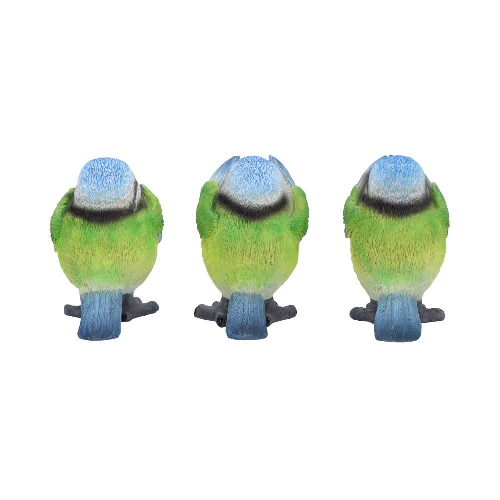 NEMESIS NOW THREE WISE BLUE TITS 8CM 801269156251