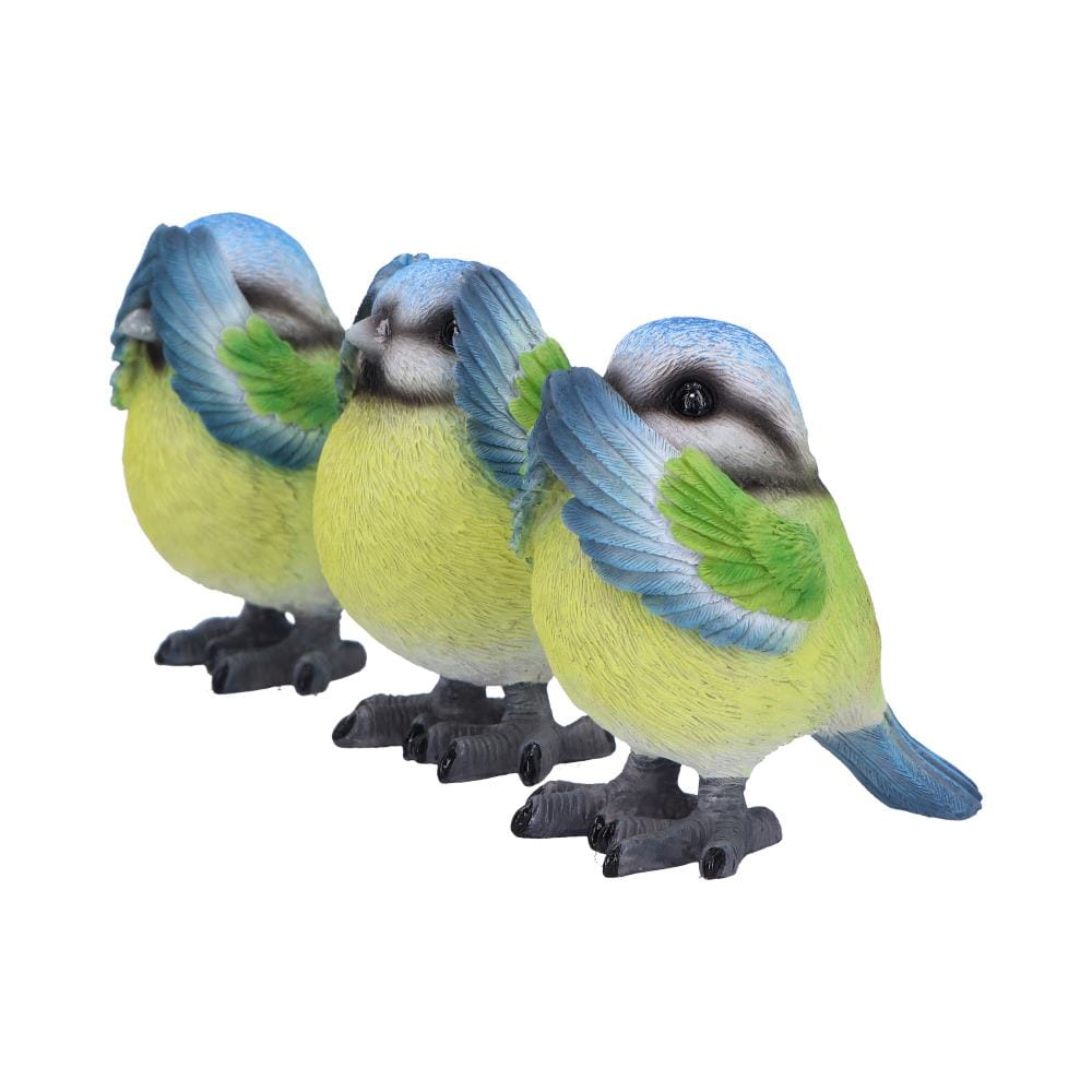 NEMESIS NOW THREE WISE BLUE TITS 8CM 801269156251