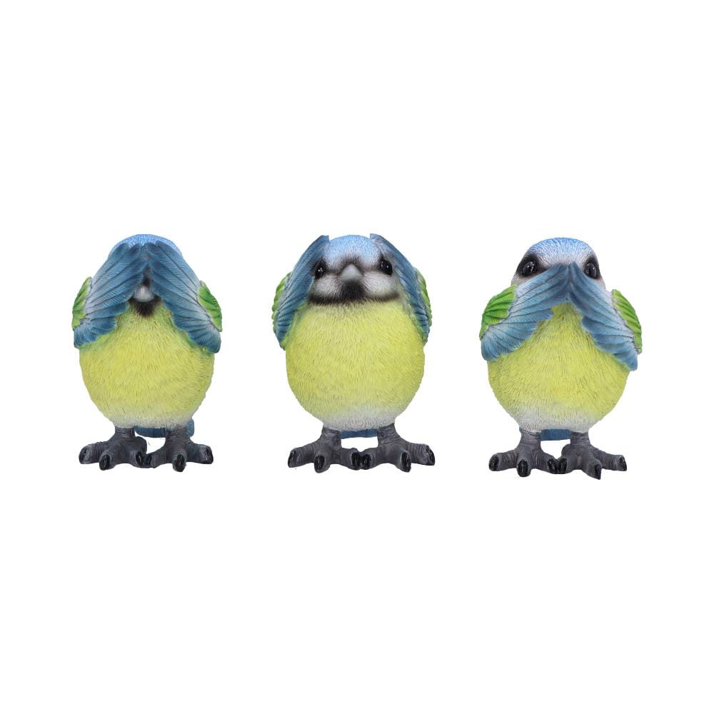 NEMESIS NOW THREE WISE BLUE TITS 8CM 801269156251