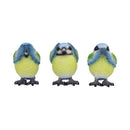 NEMESIS NOW THREE WISE BLUE TITS 8CM 801269156251
