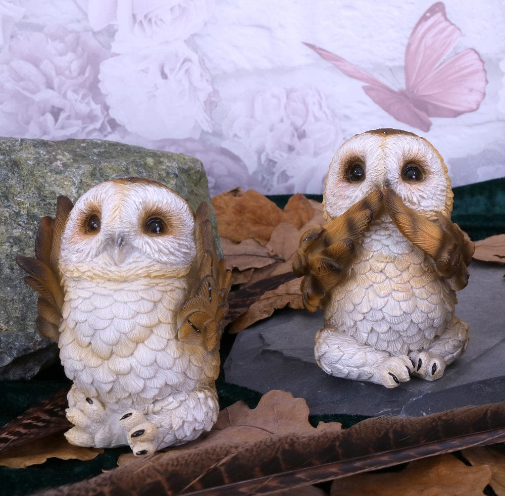 NEMESIS NOW THREE WISE BROWN OWLS 7.5CM 801269131333