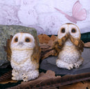 NEMESIS NOW THREE WISE BROWN OWLS 7.5CM 801269131333