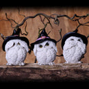 NEMESIS NOW THREE WISE FEATHERED FAMILIARS 9CM 801269144722
