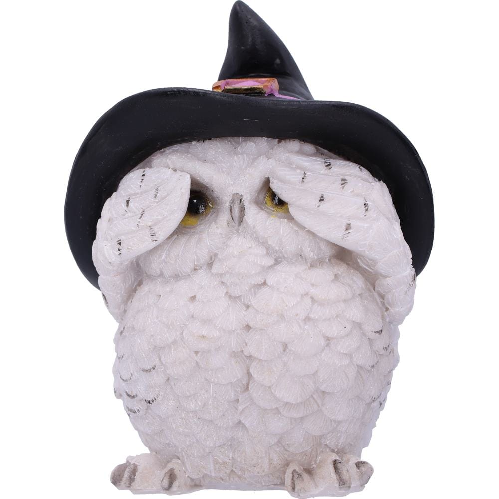 NEMESIS NOW THREE WISE FEATHERED FAMILIARS 9CM 801269144722