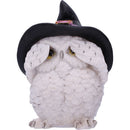 NEMESIS NOW THREE WISE FEATHERED FAMILIARS 9CM 801269144722