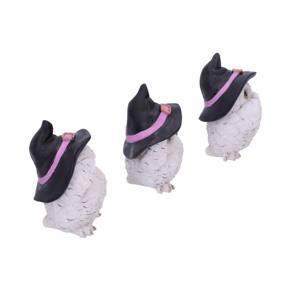 NEMESIS NOW THREE WISE FEATHERED FAMILIARS 9CM 801269144722