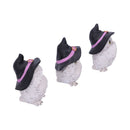 NEMESIS NOW THREE WISE FEATHERED FAMILIARS 9CM 801269144722