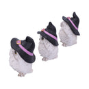 NEMESIS NOW THREE WISE FEATHERED FAMILIARS 9CM 801269144722