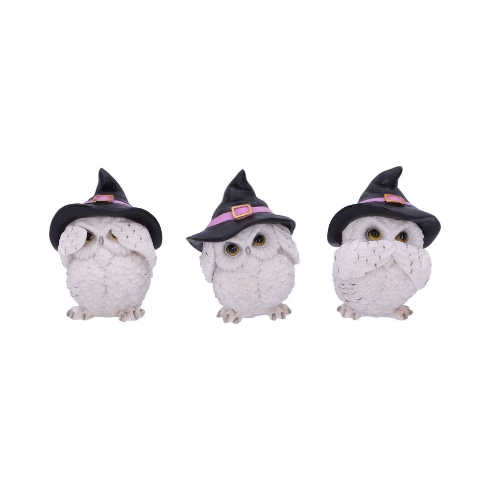 NEMESIS NOW THREE WISE FEATHERED FAMILIARS 9CM 801269144722