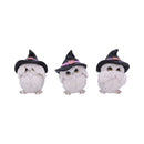 NEMESIS NOW THREE WISE FEATHERED FAMILIARS 9CM 801269144722