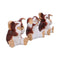 NEMESIS NOW THREE WISE GIZMO 8,2CM 801269157265
