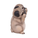 NEMESIS NOW Three Wise Pugs Figurine 801269135751