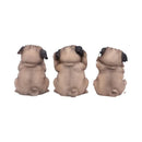 NEMESIS NOW Three Wise Pugs Figurine 801269135751