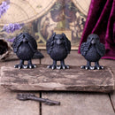NEMESIS NOW THREE WISE RAVENS 8,7CM 801269147501