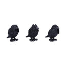 NEMESIS NOW THREE WISE RAVENS 8,7CM 801269147501