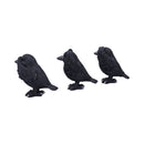 NEMESIS NOW THREE WISE RAVENS 8,7CM 801269147501