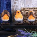 NEMESIS NOW THREE WISE ROBINS 8CM 801269132477