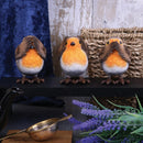 NEMESIS NOW THREE WISE ROBINS 8CM 801269132477