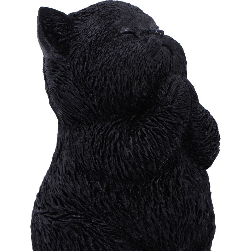 NEMESIS NOW WHISKER WISH 8.5CM 801269159276