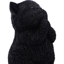 NEMESIS NOW WHISKER WISH 8.5CM 801269159276