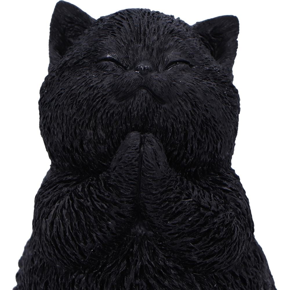 NEMESIS NOW WHISKER WISH 8.5CM 801269159276