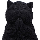 NEMESIS NOW WHISKER WISH 8.5CM 801269159276