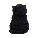 NEMESIS NOW WHISKER WISH 8.5CM 801269159276