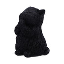 NEMESIS NOW WHISKER WISH 8.5CM 801269159276