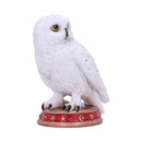 NEMESIS NOW WIZARD'S FAMILIAR 10CM 801269146290