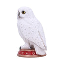 NEMESIS NOW WIZARD'S FAMILIAR 10CM 801269146290
