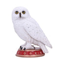 NEMESIS NOW WIZARD'S FAMILIAR 10CM 801269146290
