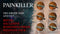 Painkiller (Xbox Series X) 884095225964