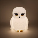 PALADONE HEDWIG LIGHT 5055964786847